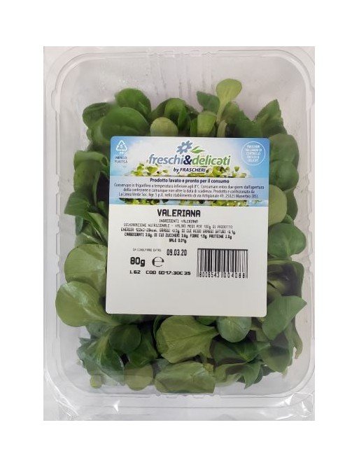Insalat Valeriana Frascheri Gr80