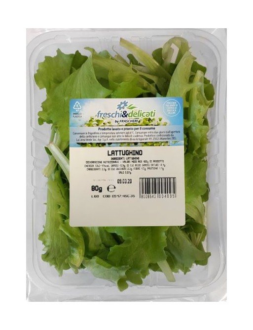 Insalata Lattughino Frascheri Gr80