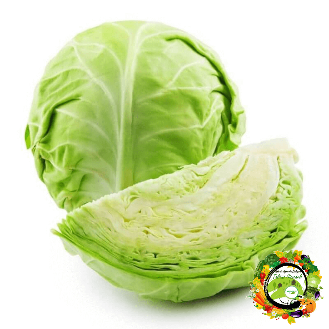 Cavolo
