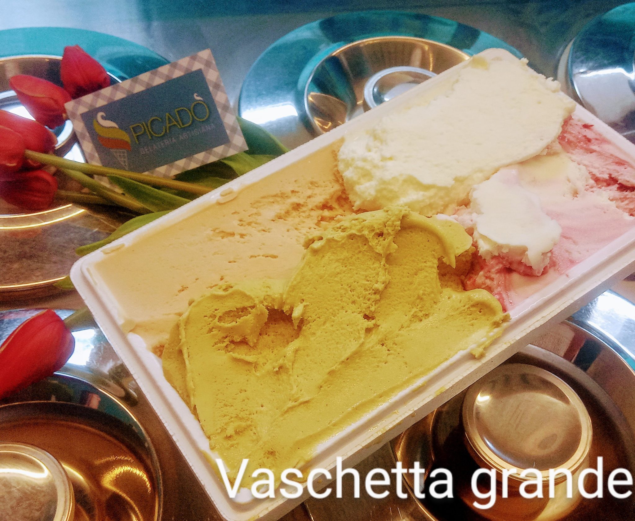 Vasch Grande Scaled