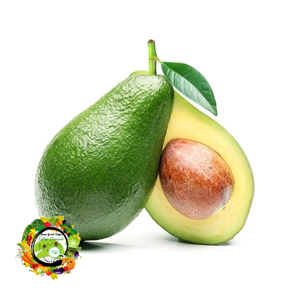 Avocado