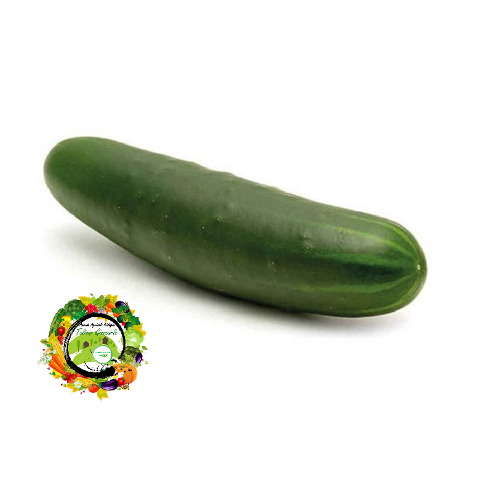 Cetriolo.jpg