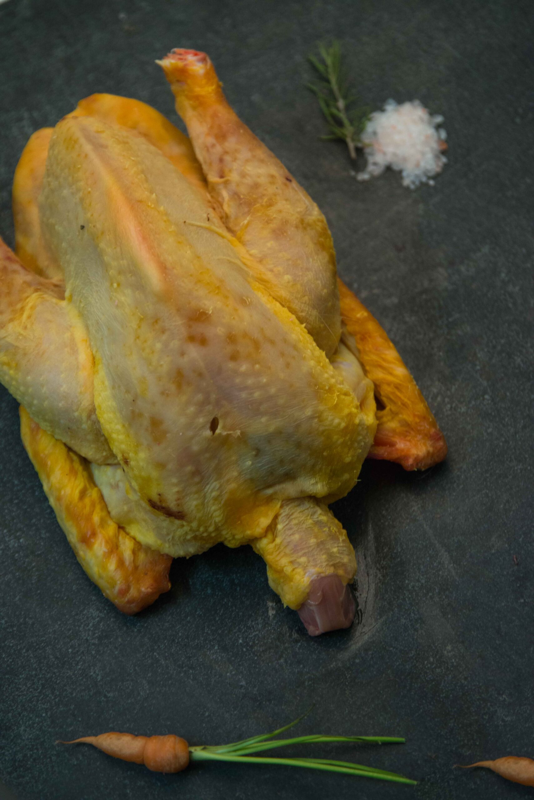 Gallo 1 Scaled