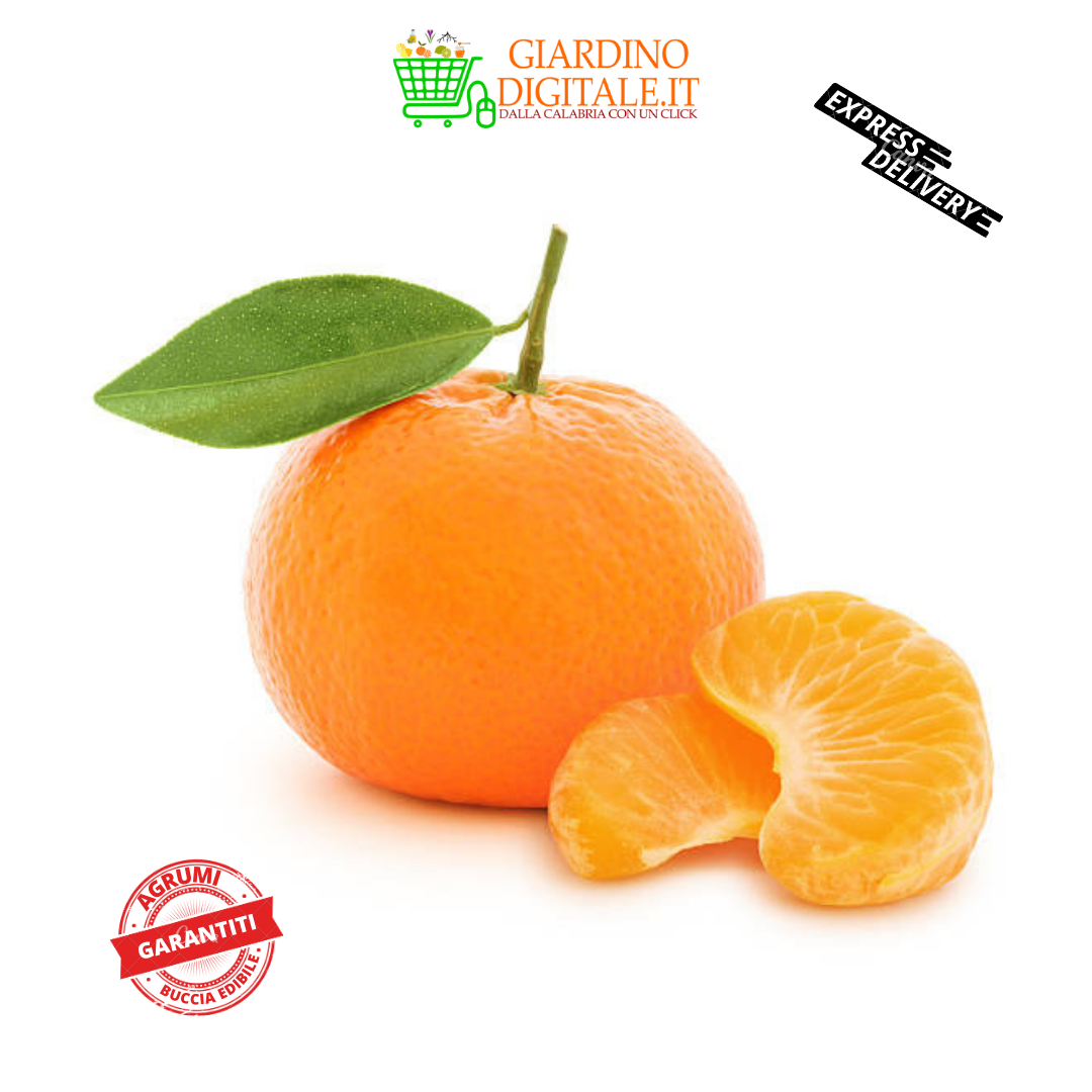 Clementine Senza Semi Calabria Buccia Edibile