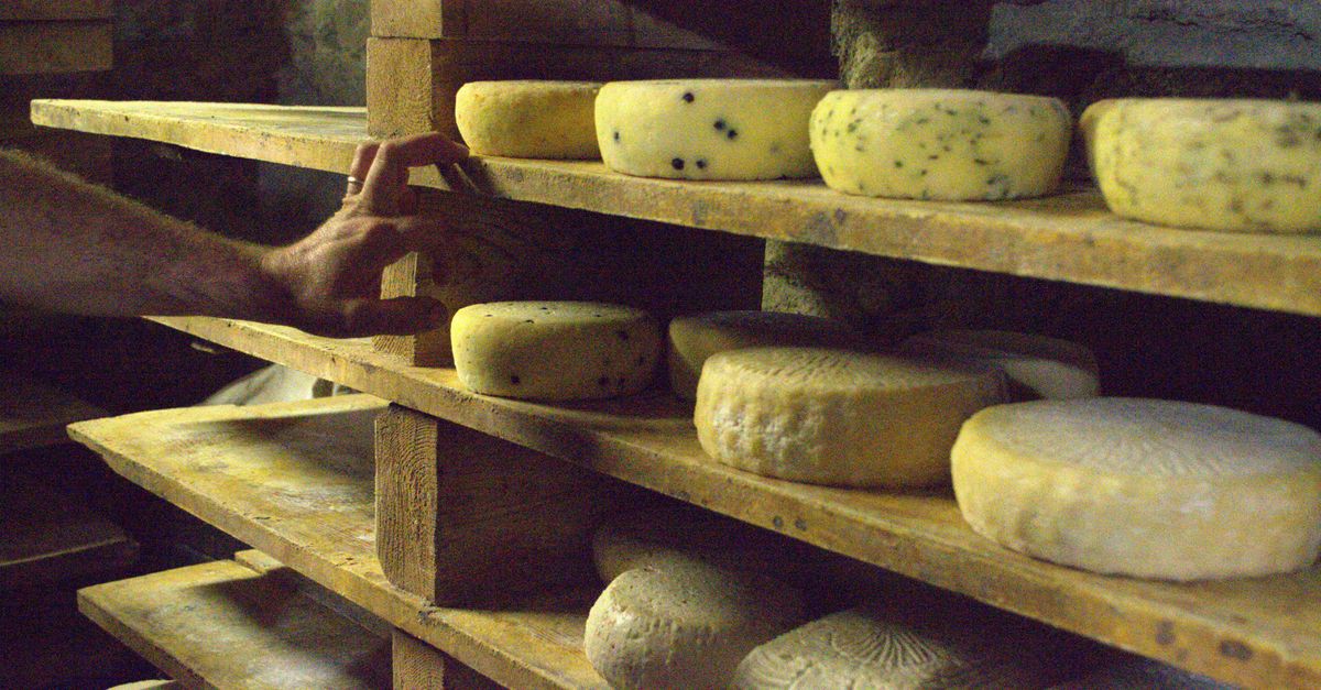 Efruit Guida Acquisto 19196908