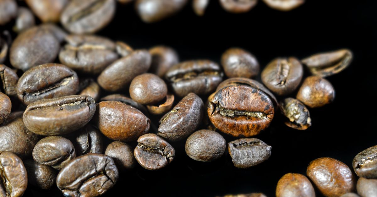 Efruit T Caffe 19162213