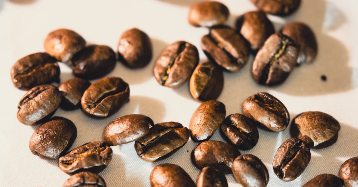 Efruit T Caffe 33015766