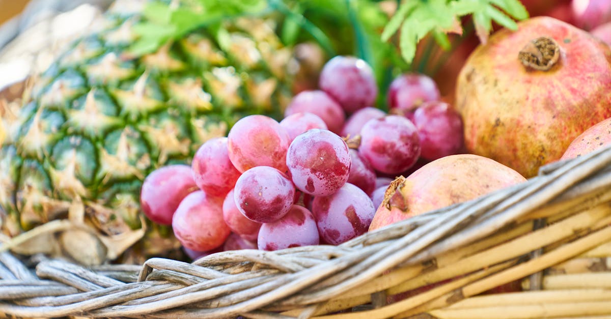 Efruit T Frutta 3084068