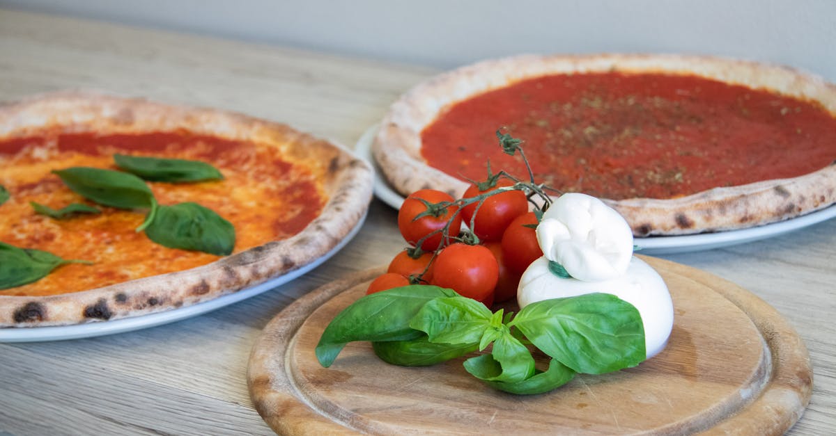 Efruit T Mozzarella 19260727