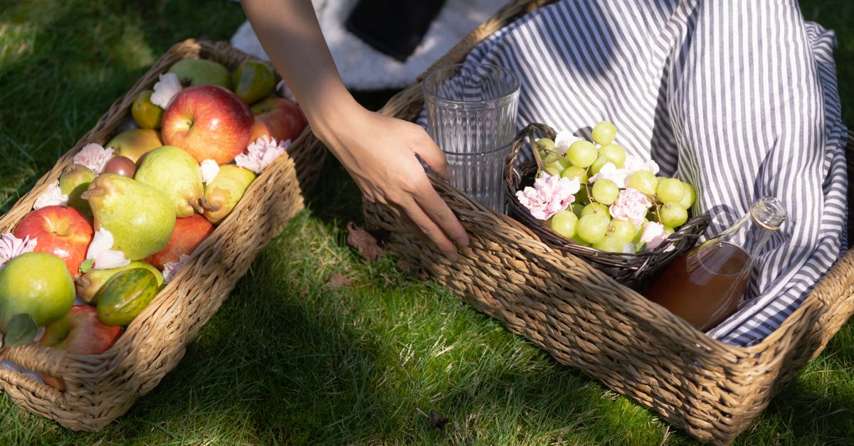 Efruit T Picnic 10794098