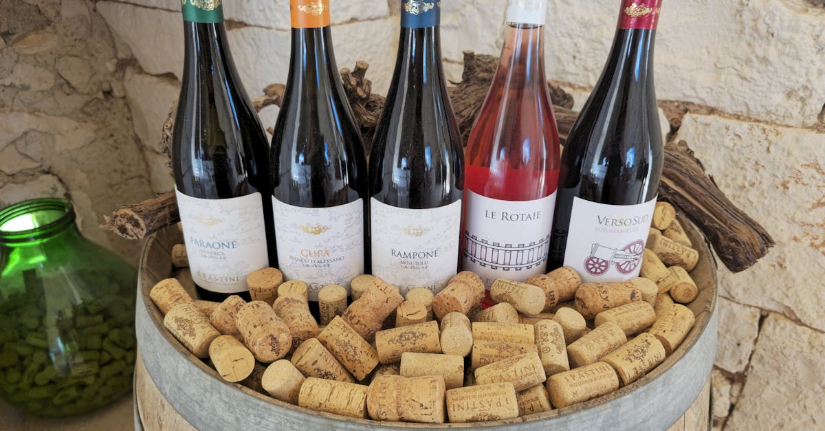 Efruit T Vino 36542254