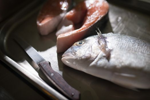 Fish 8629032