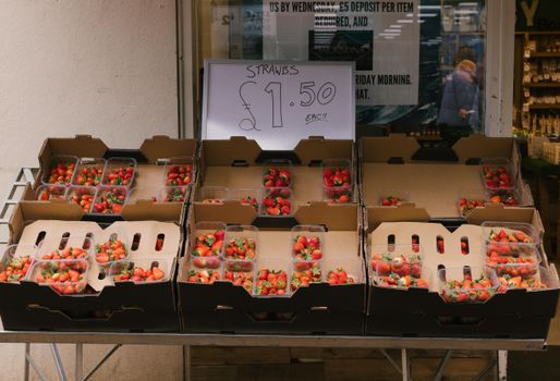 Vini artigianali a Firenze: dove comprare online i migliori