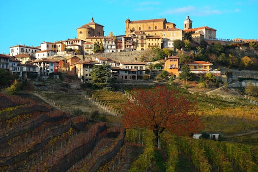 Wine 11078595